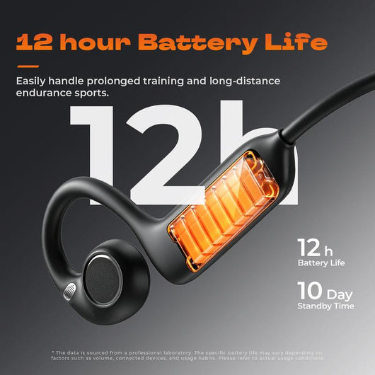 bih 9.png